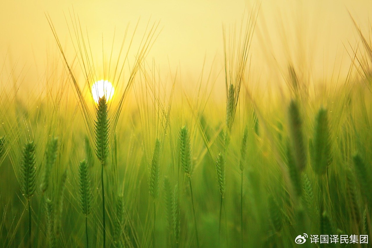 永信贵宾会217·(中国区)官网